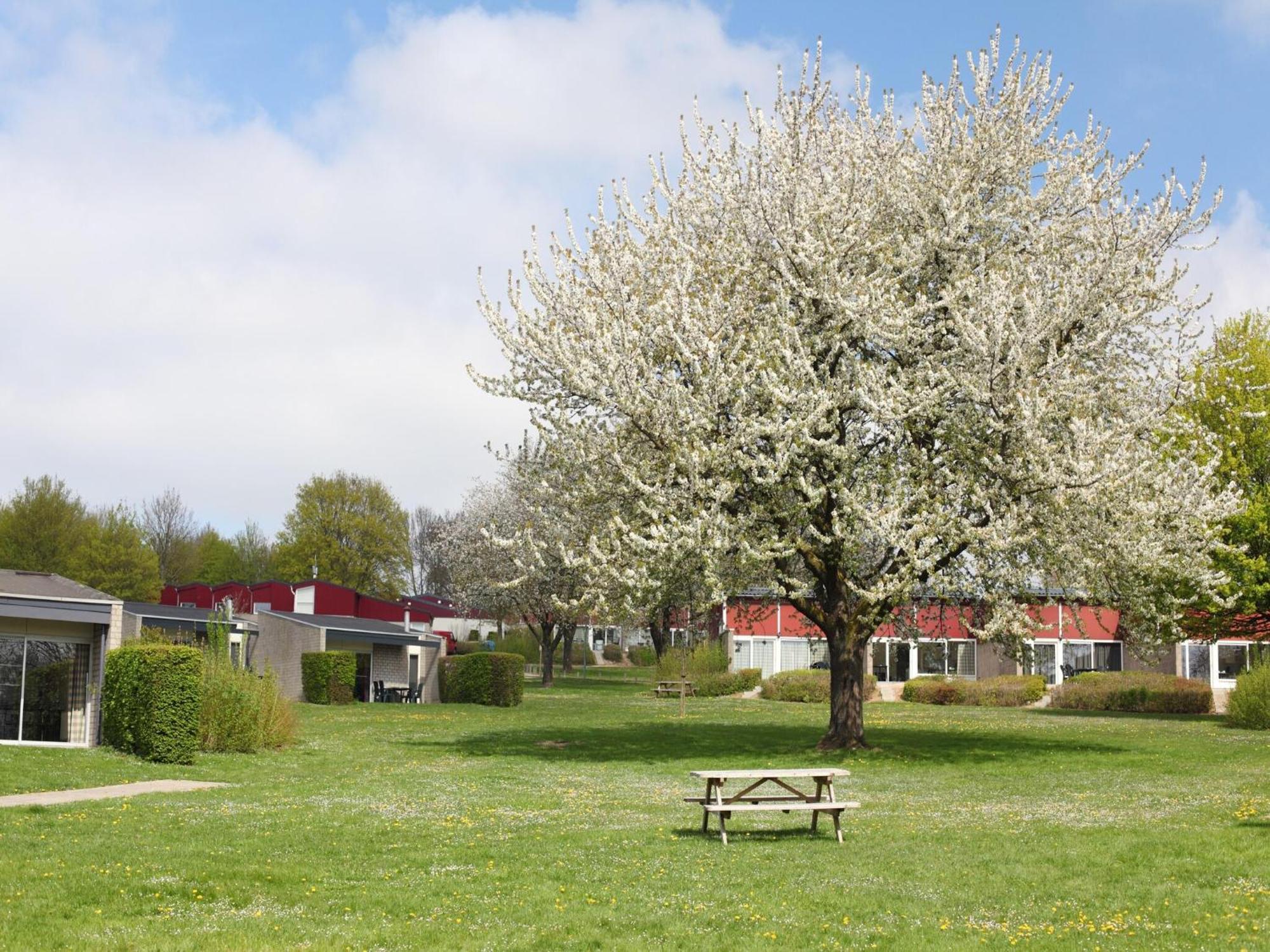 Nice Bungalow With Sauna And Bubble Bath, On A Holiday Park, 4 Km Valkenburg Villa Walem Bagian luar foto