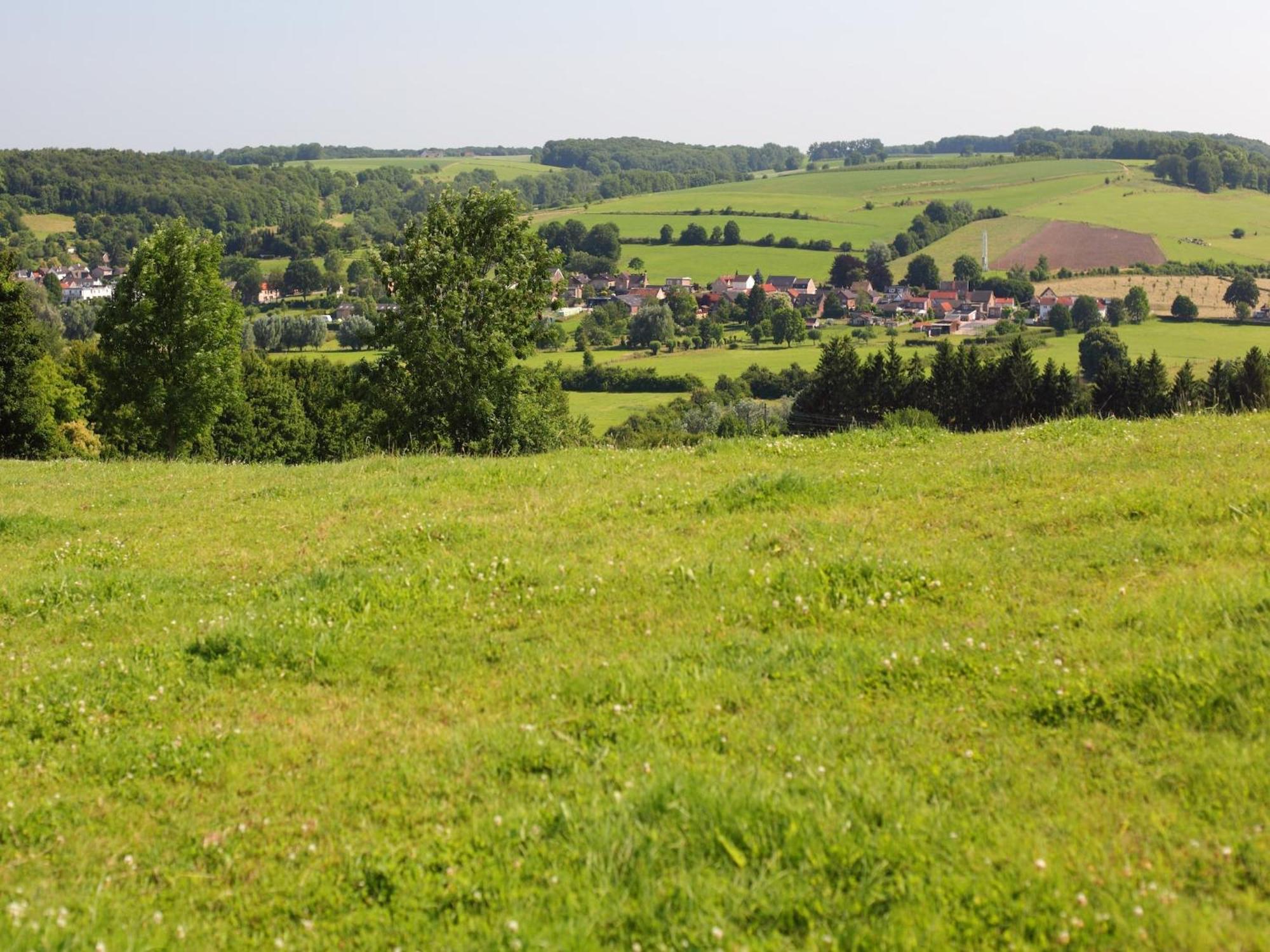 Nice Bungalow With Sauna And Bubble Bath, On A Holiday Park, 4 Km Valkenburg Villa Walem Bagian luar foto